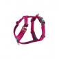 Preview: Dog Copenhagen Comfort Walk Harness Air Wild Rose (pink) V2
